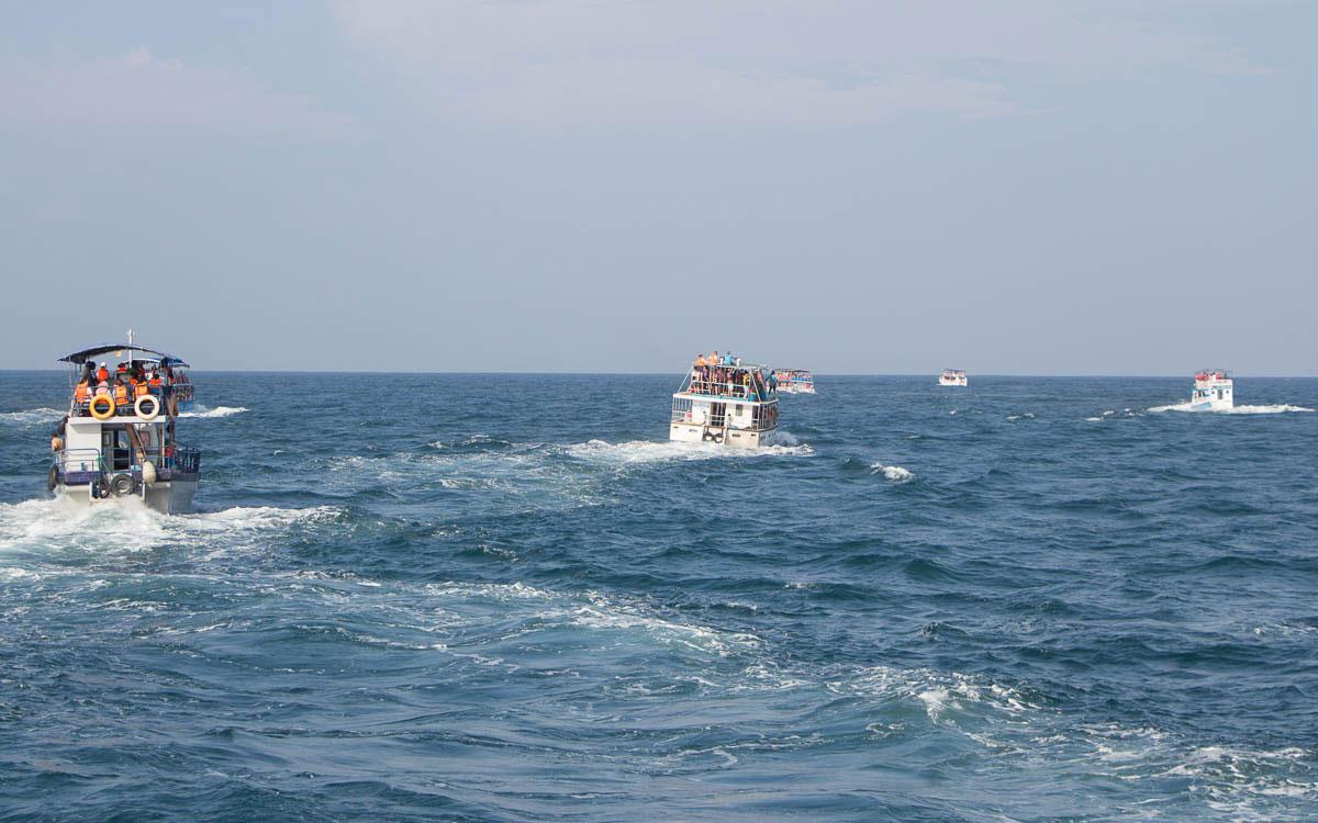 15 providers are vying for customers during whale watching. In my opinion, that is far too many.