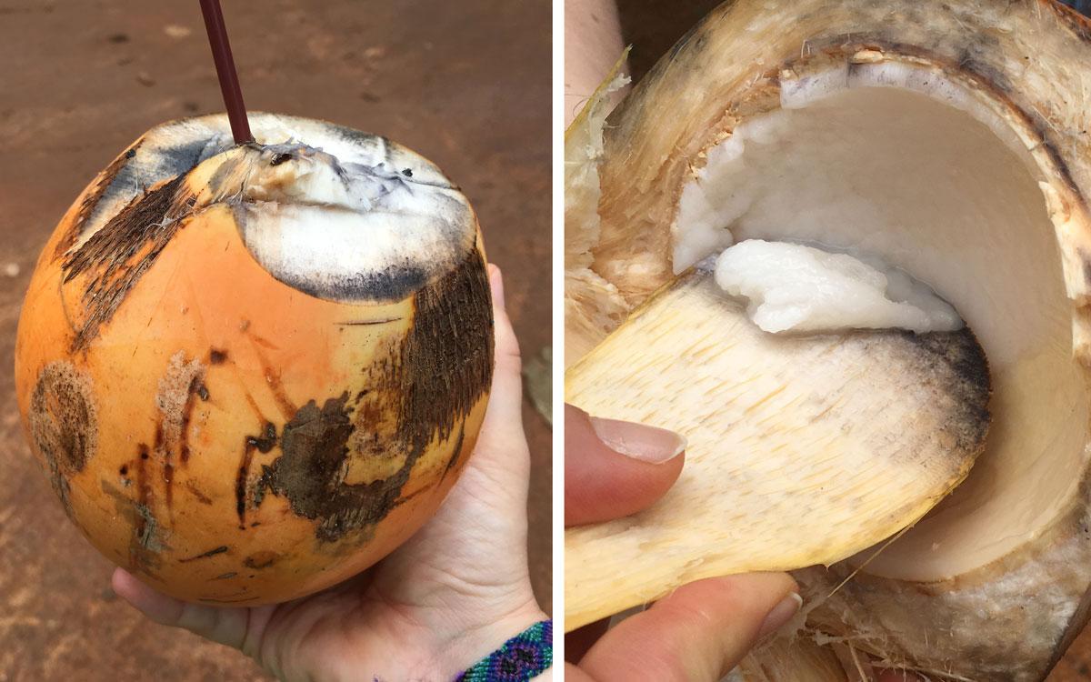 King Coconut Sri Lanka