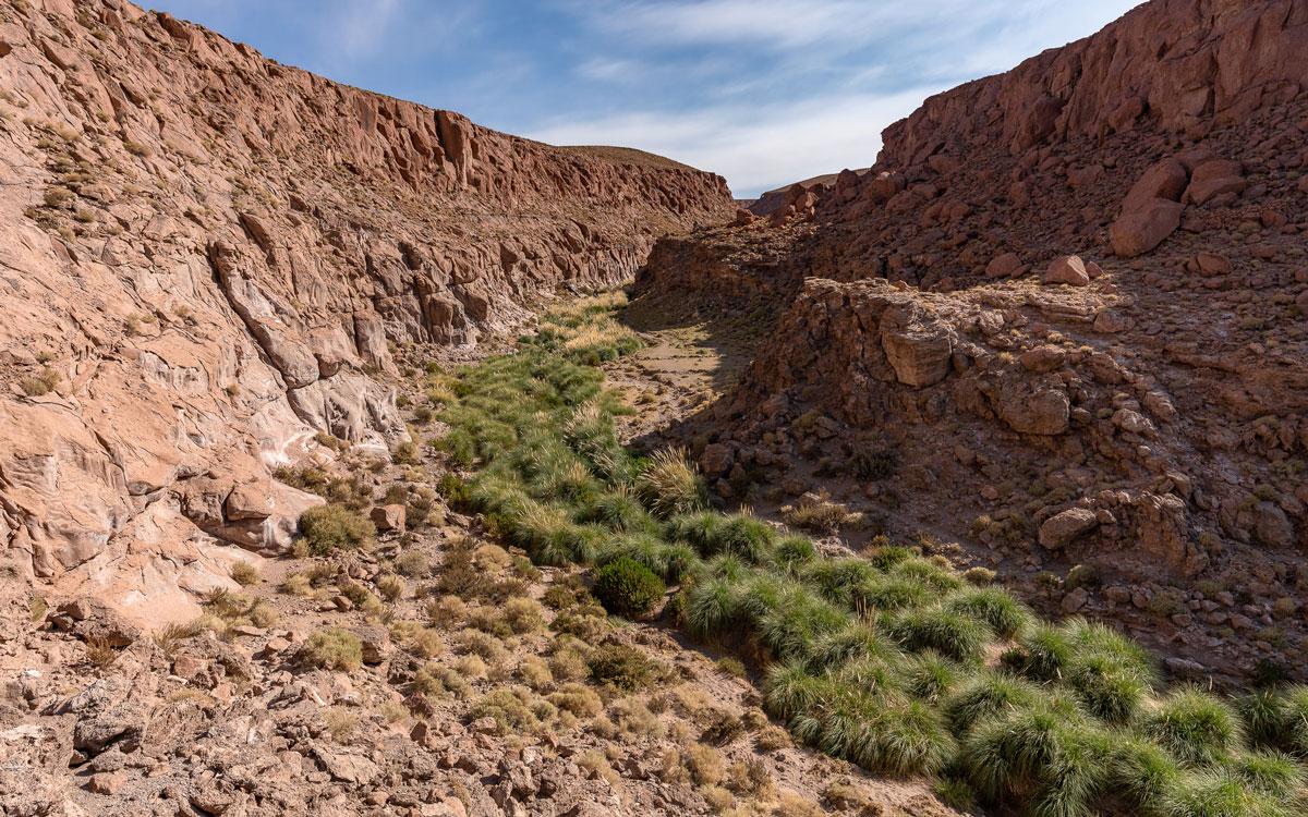Wandeling in het Puritama Dal, Atacama-woestijn Chili