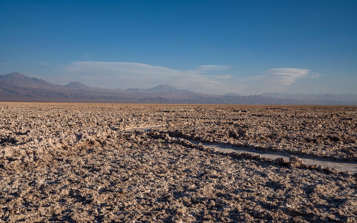 Laguna Chaxa Salar de Atacama Chili