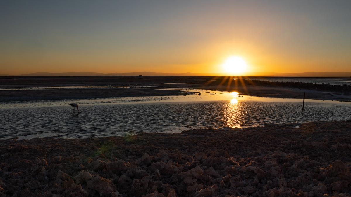 Lagune Chaxa Zonsondergang Atacama-woestijn Chili