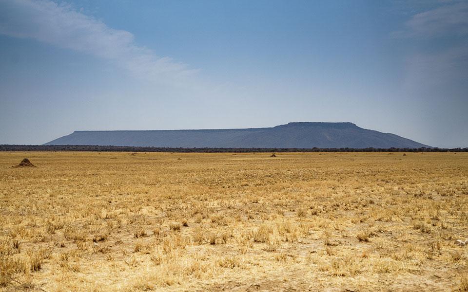 Vue sur la montagne à plateau de Namibie : parc du plateau Waterberg avec sa faune et sa flore riches en Namibie