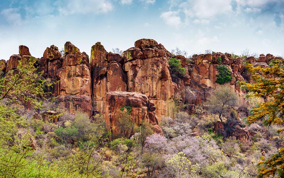 Vue sur le plateau Waterberg depuis la Waterberg Wilderness Lodge