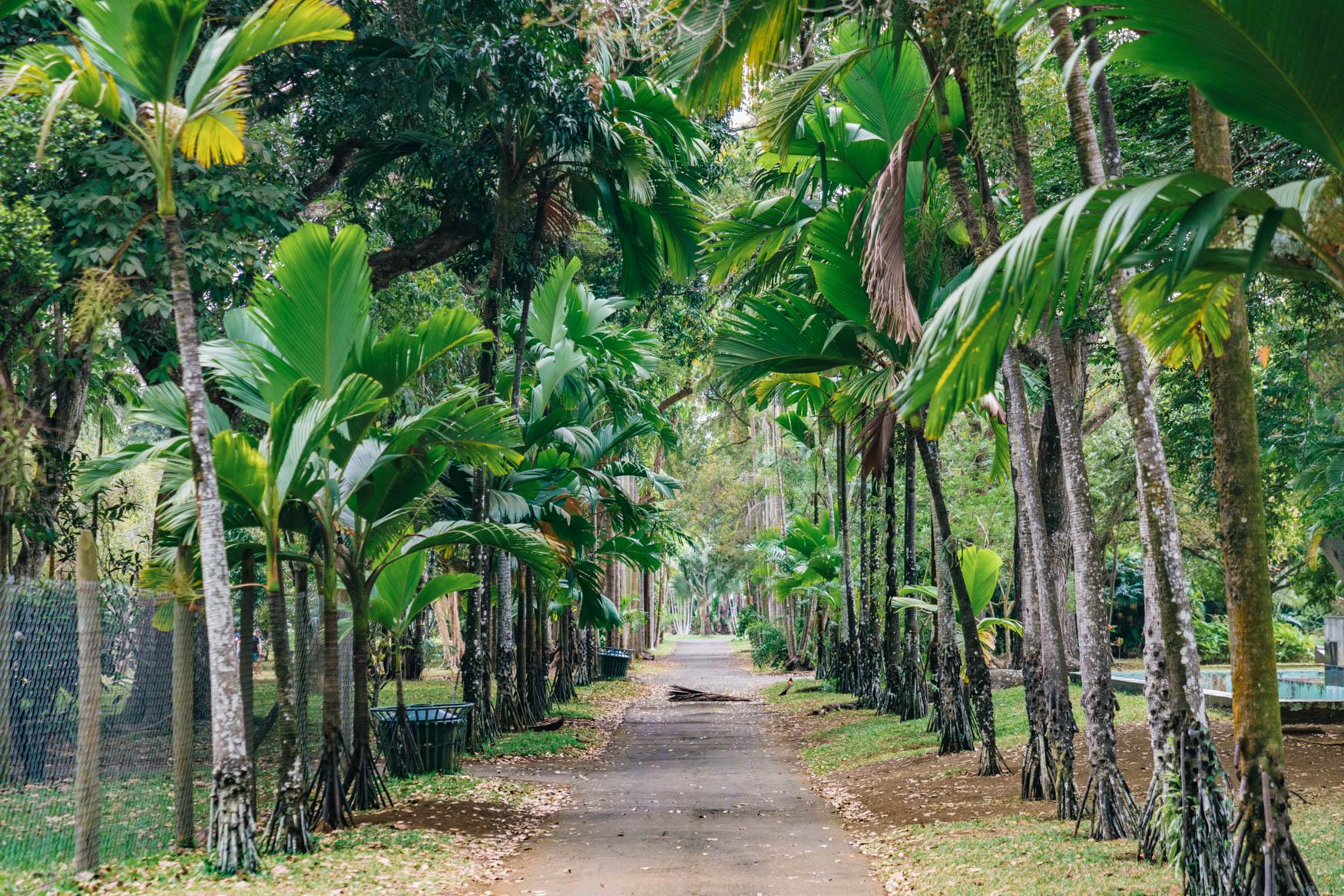 Entrance of Pamplemousse Botanical Garden