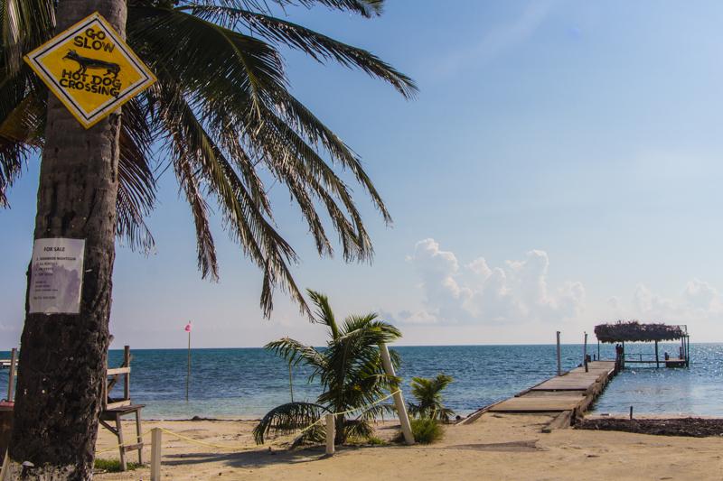 Belize Attractions: Island for Backpackers Caye Caulker