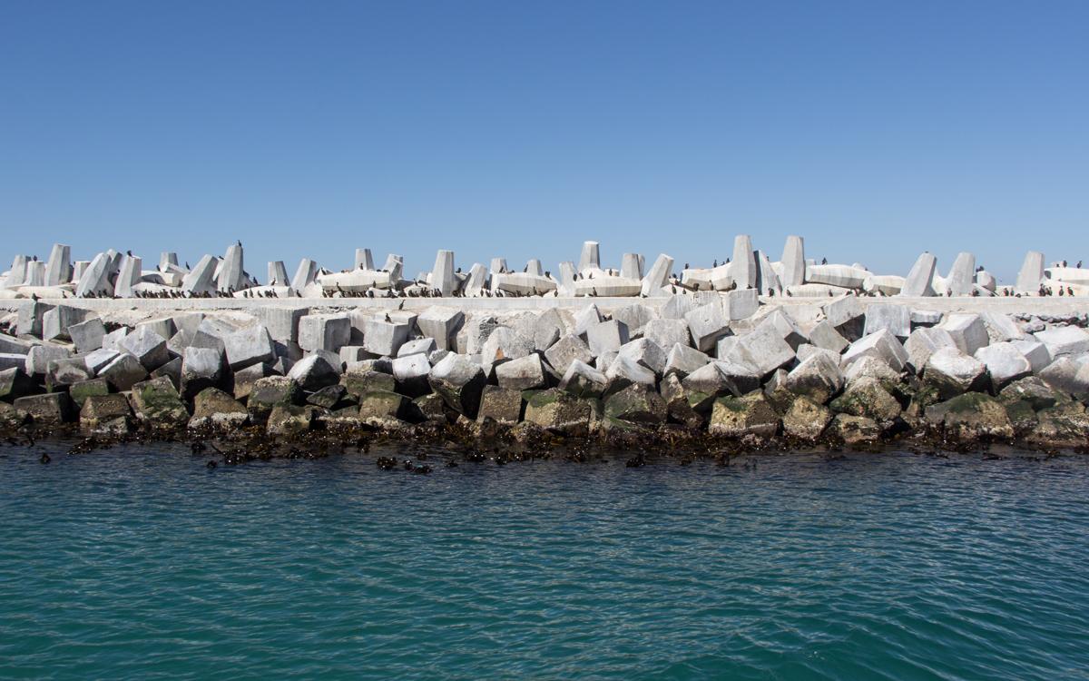 Visite de Robben Island : Le port de Robben Island