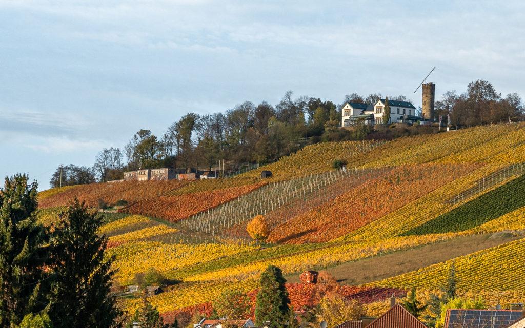 Wartberg Heilbronn bezienswaardigheid