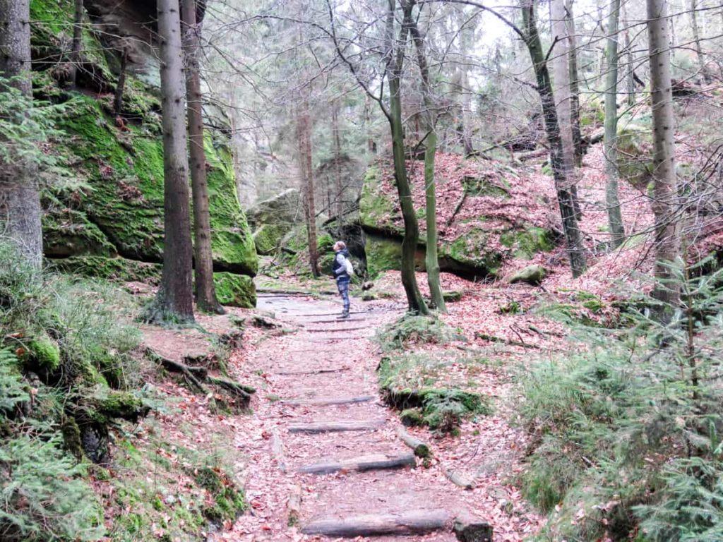 Hiking to the Schrammsteine in Saxon Switzerland