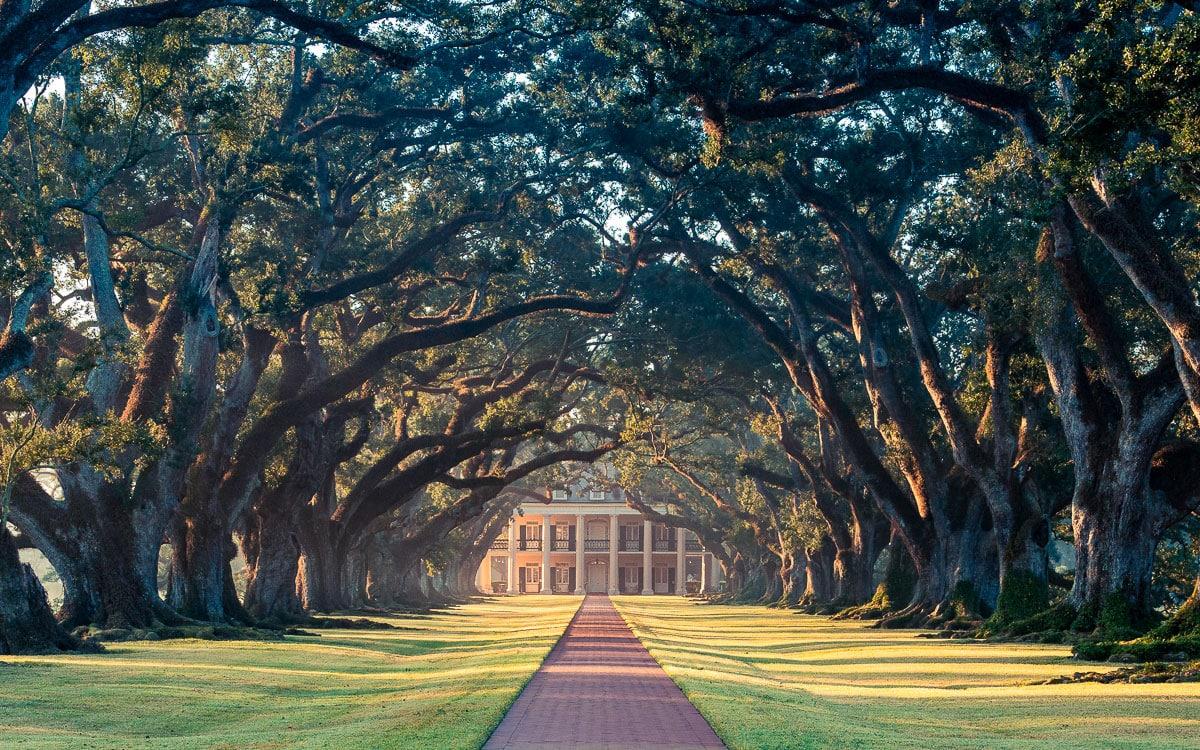 Plantation Oak Alley Allée d'arbres
