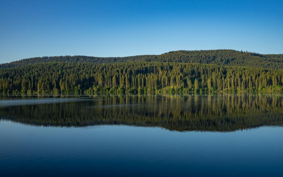 Schluchsee. De grootste meer van het Zwarte Woud