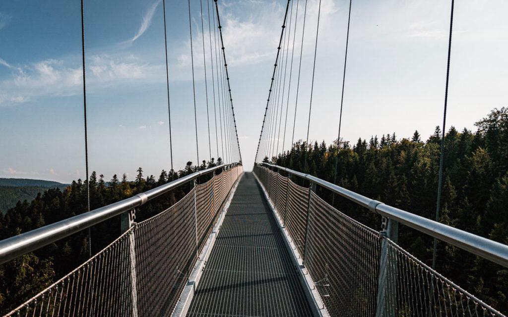 Over de hangbrug Wildline
