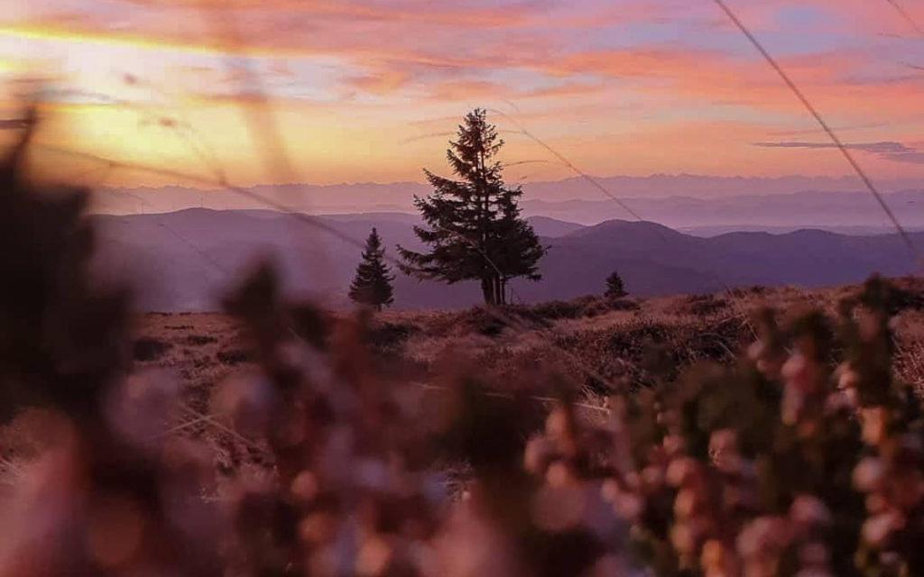Sonnenaufgang Belchen Schwarzwald