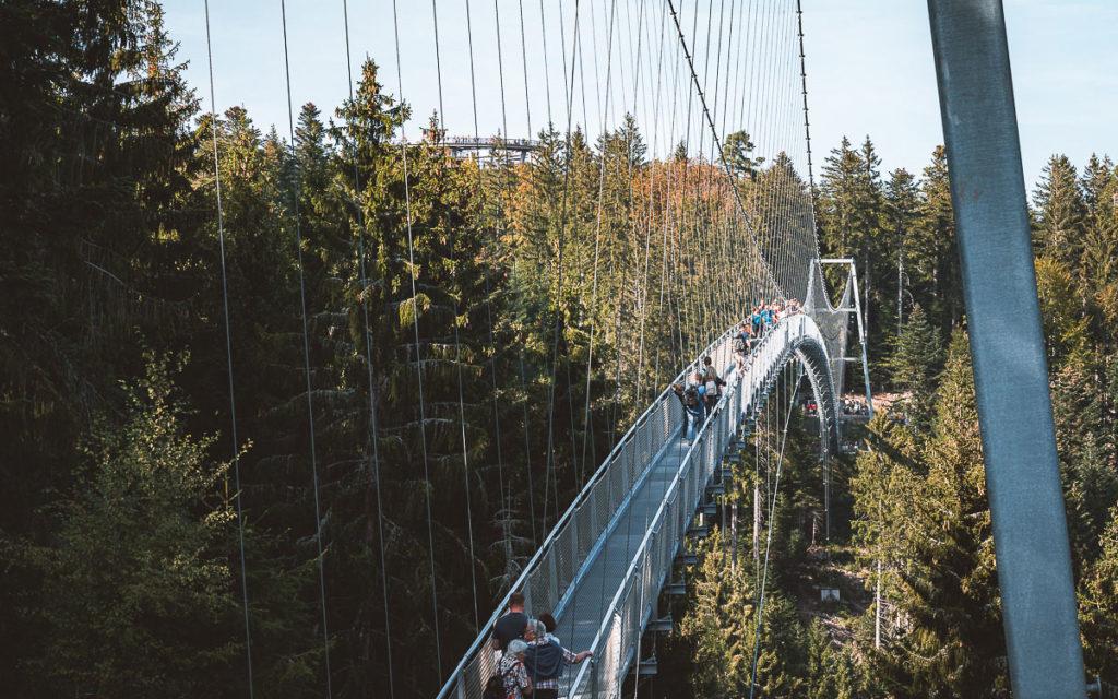 Hangbrug Wildline