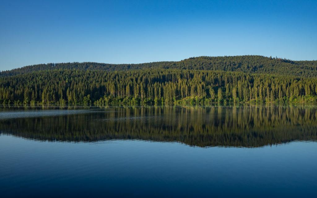 De Schluchsee is het grootste meer in het Zwarte Woud (misschien ook wel het mooiste)