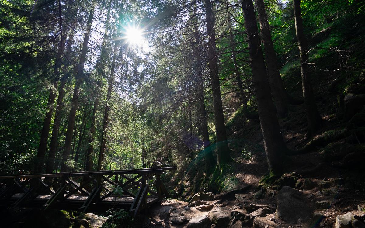 Ravennaschlucht Schwarzwald