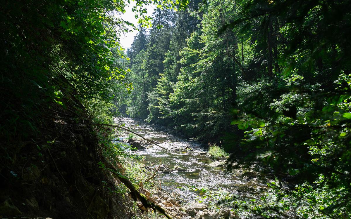 Blick auf die Wutach