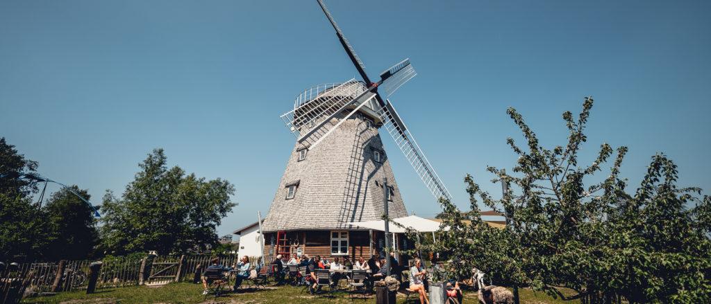 Molen Ahrenshoop Fischland-Darß-Zingst