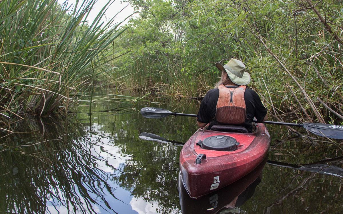 Everglades National Park Kayak Tour Guide Regis