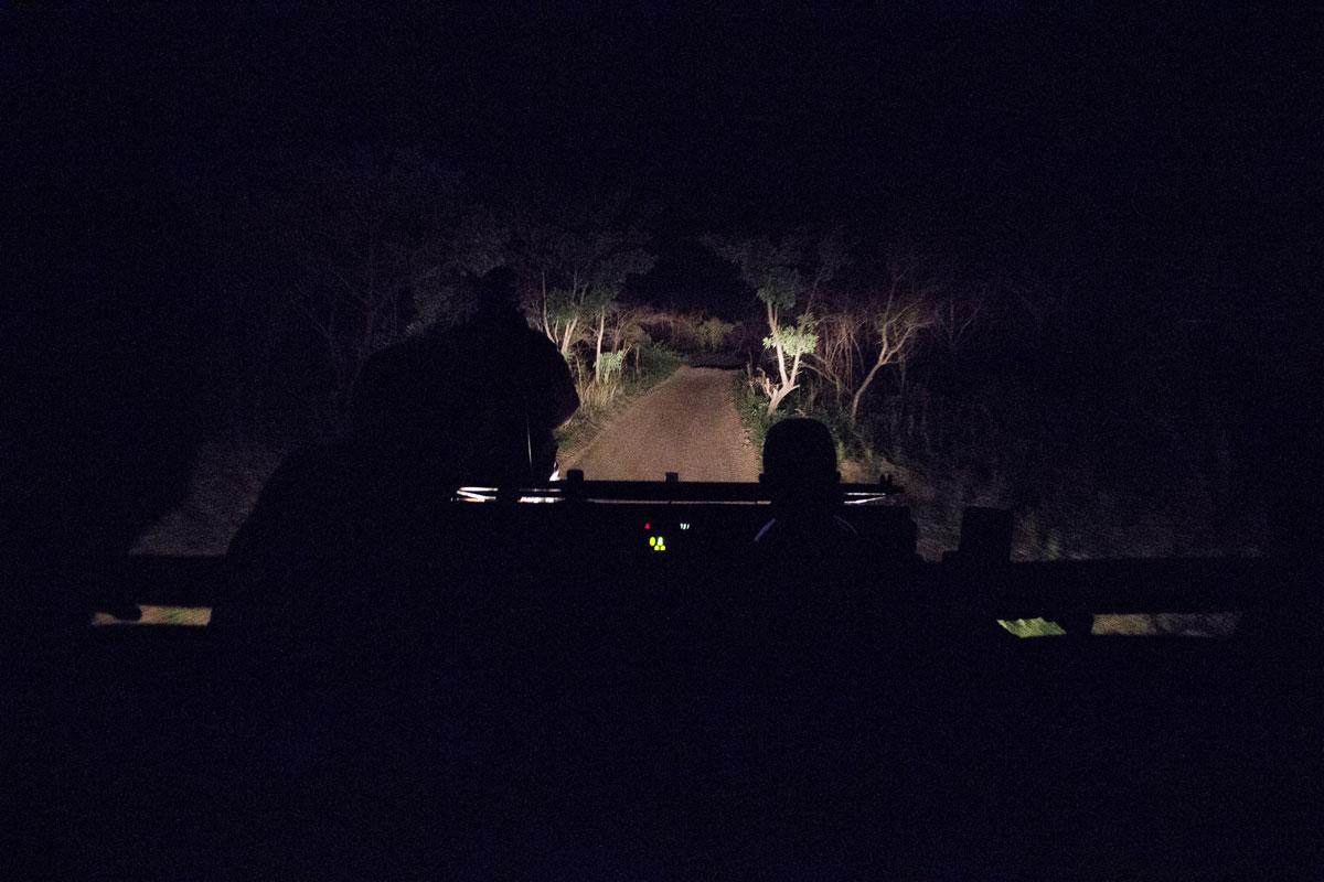 Sabi Sabi darkness