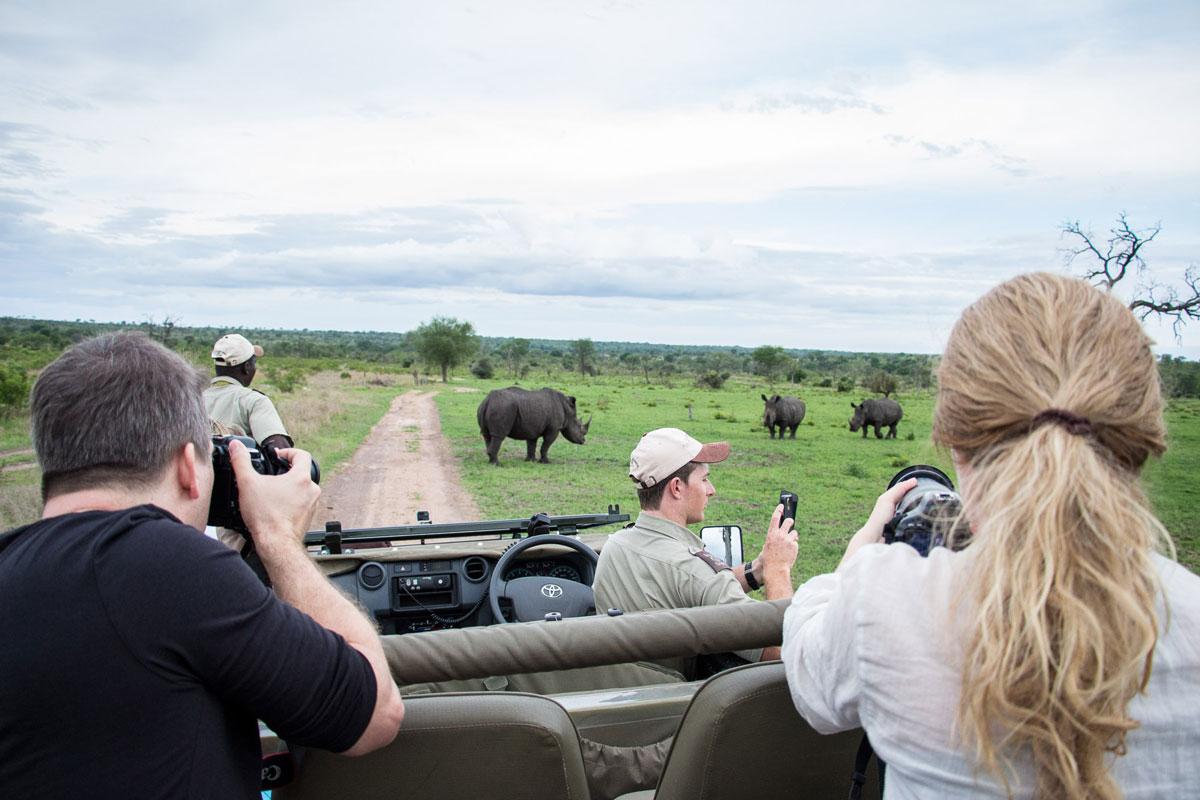 sabisabi-rhino