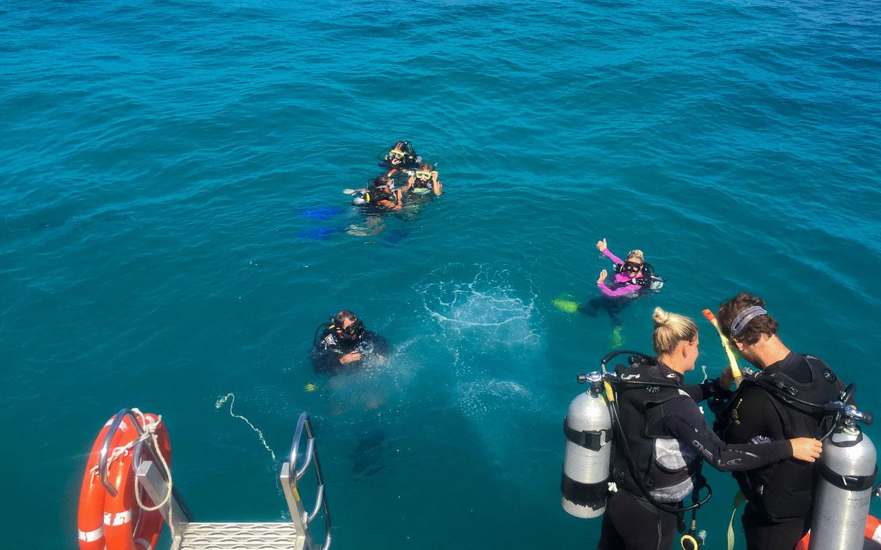 australie-oostkust-great-barrier-reef-snorchelen