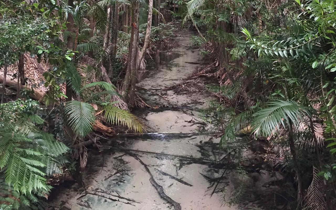 Silent River K'Gari (Fraser Island) in het regenwoud op het zand eiland