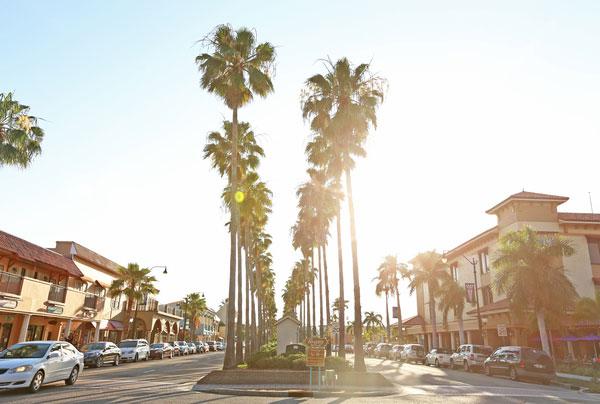 Sarasota bezienswaardigheden: Venice Beach