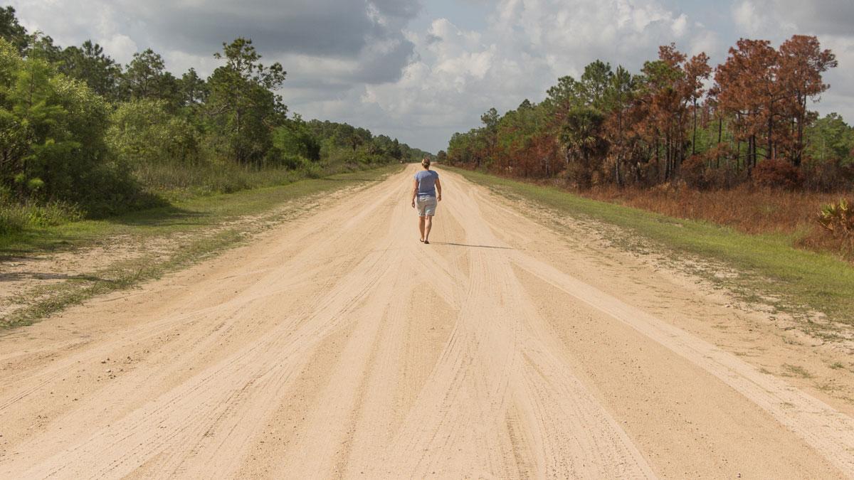 Everglades National Park tour