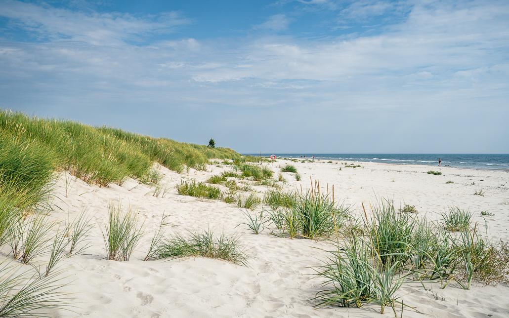 Sandhammaren