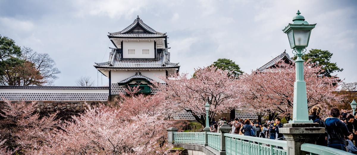 Kanazawa Kasteel Kersenbloesem Japan