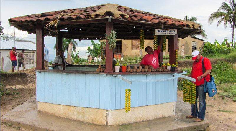 Orange and coconut sales on the road to Camagüey