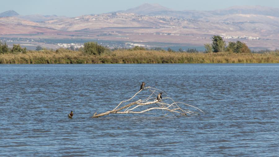 Hula Valley or Chula Plain (German)