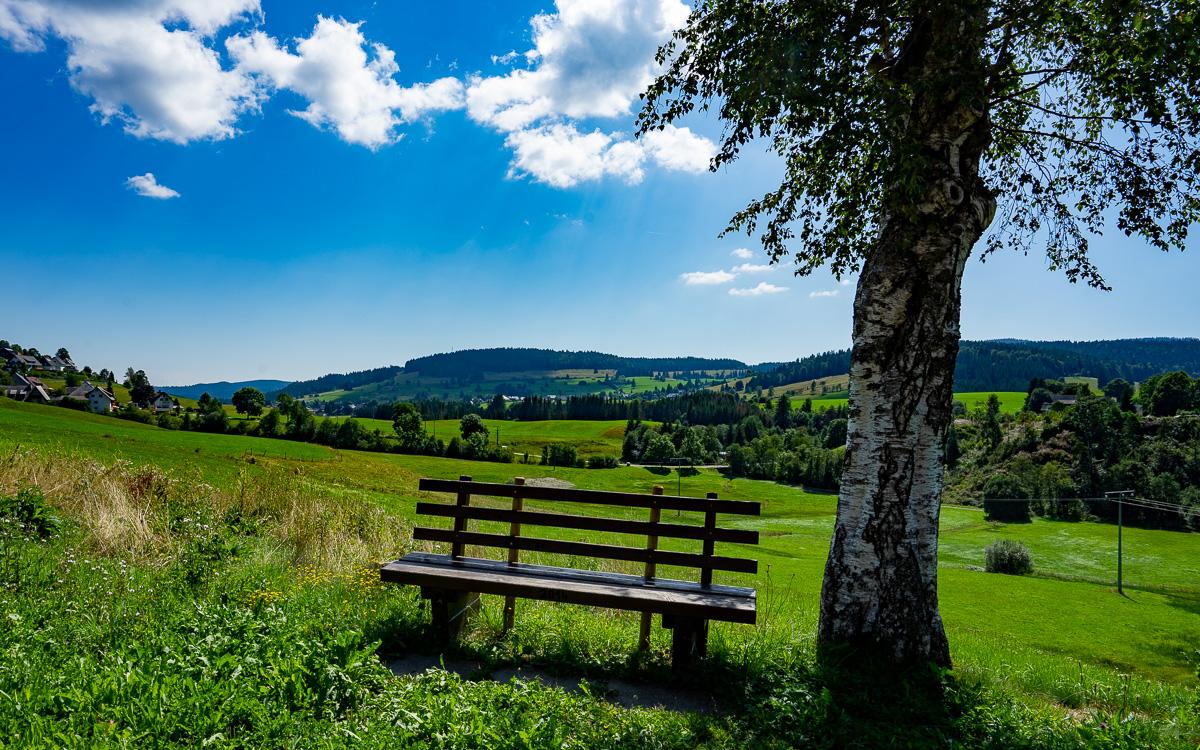 roadtrip-black-forest-view-into-the-valley-with-bench