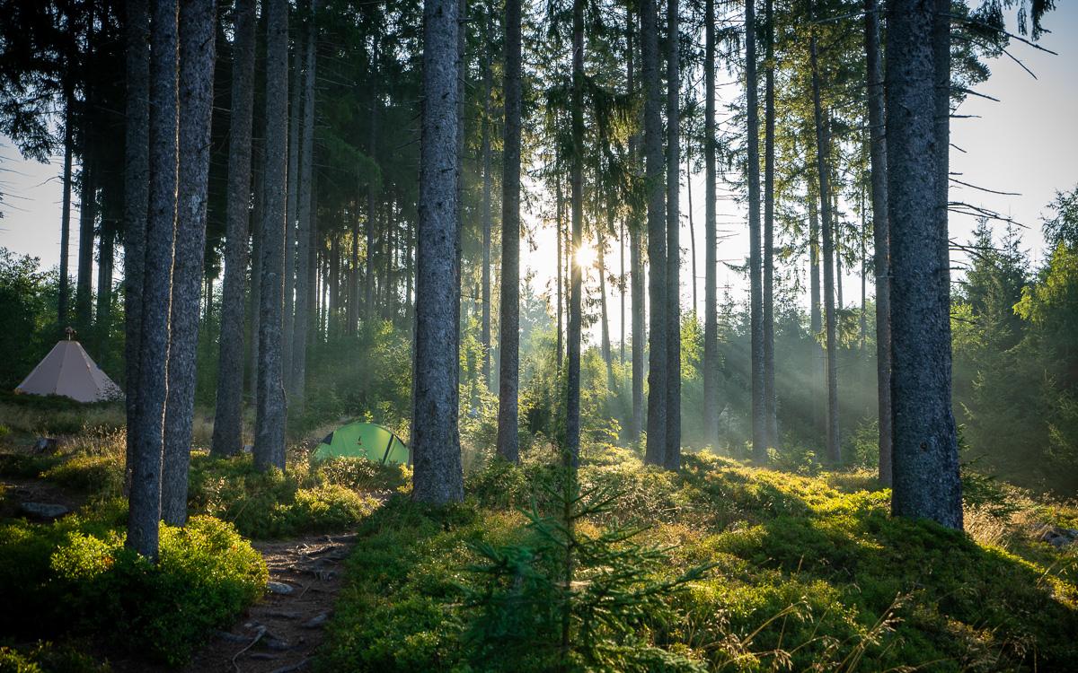 roadtrip-black-forest-black-forest-camp