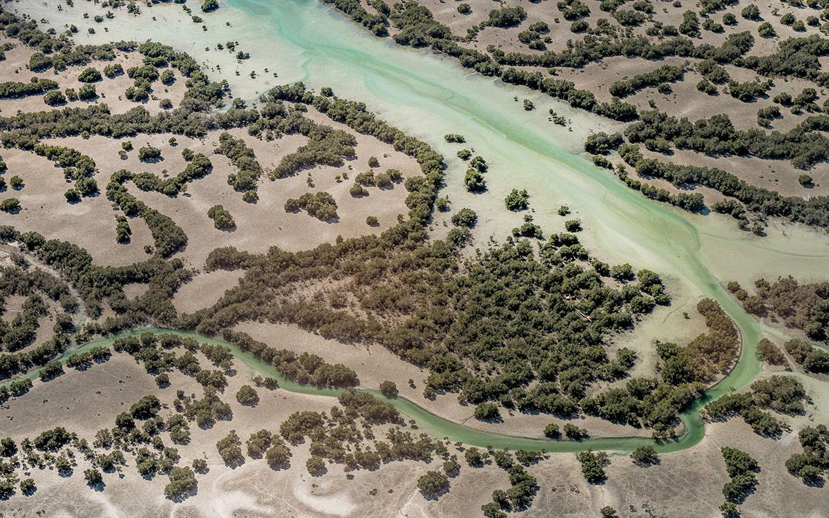 Mangroves Abou Dhabi Vol en hydravion