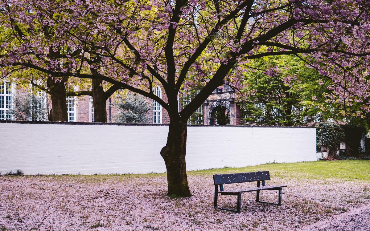 hamburg-insider-tipps-garten