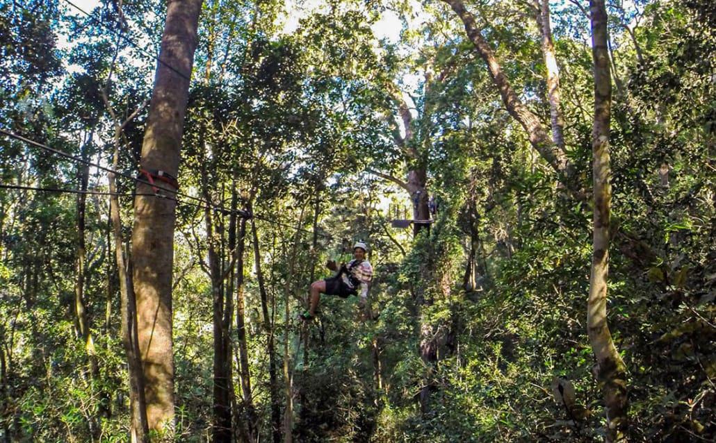 Canopy Zipline Tsitsikamma Garden Route Zuid-Afrika