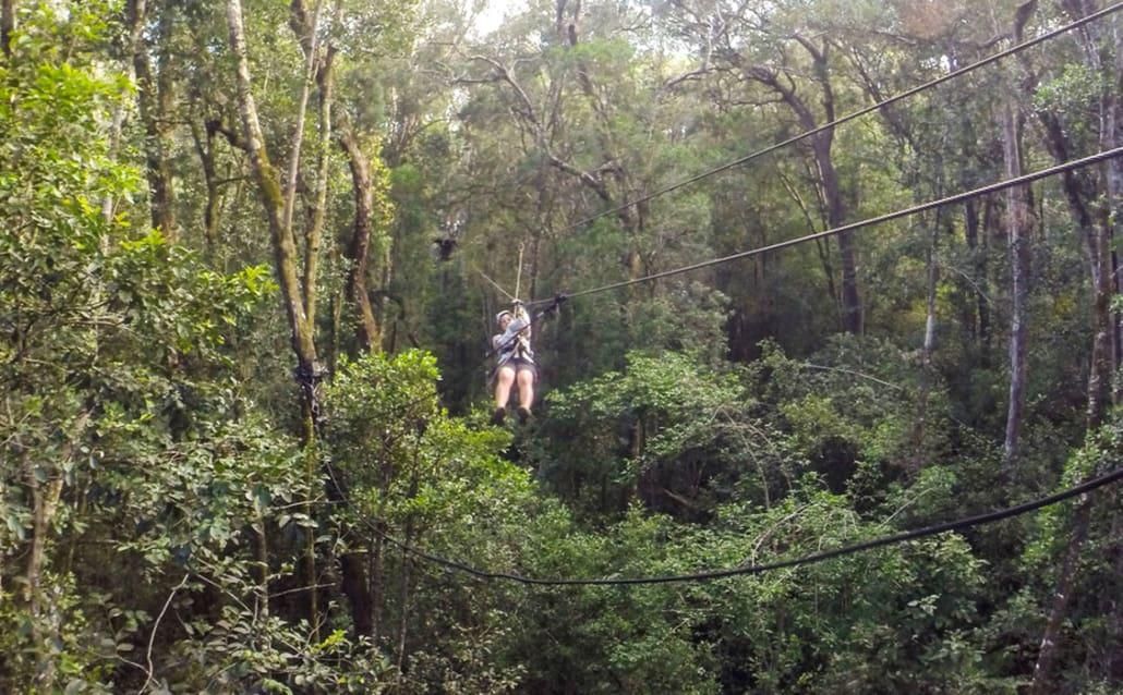 Zipline in Tsitsikamma Zuid-Afrika