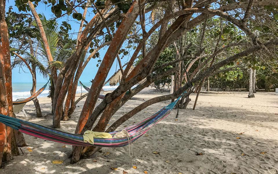 Hammocks on the beach of Palomino