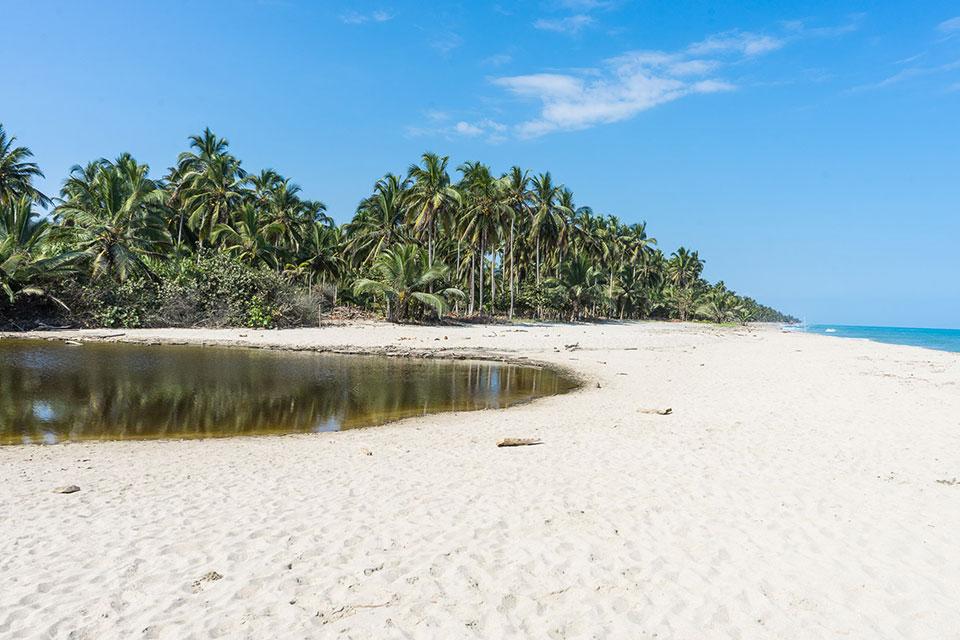 Palomino River meets the sea