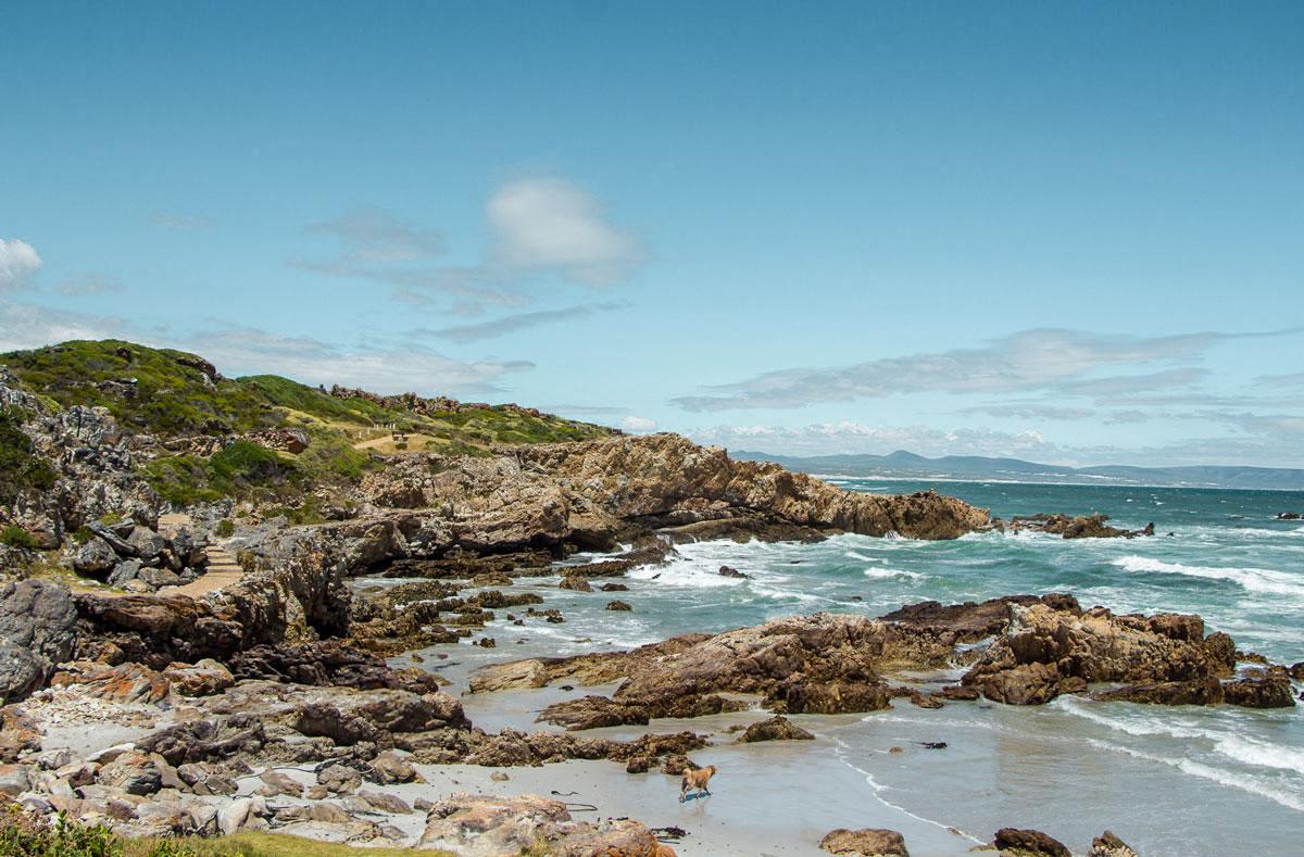 Hermanus Zuid-Afrika Cliff Path
