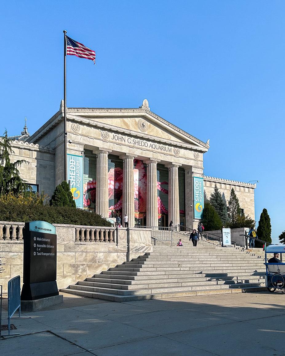 Shedd Aquarium Chicago, voor ons geen must