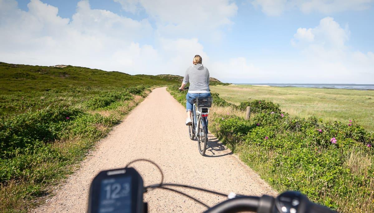 Conseil secret de Sylt : louer un vélo