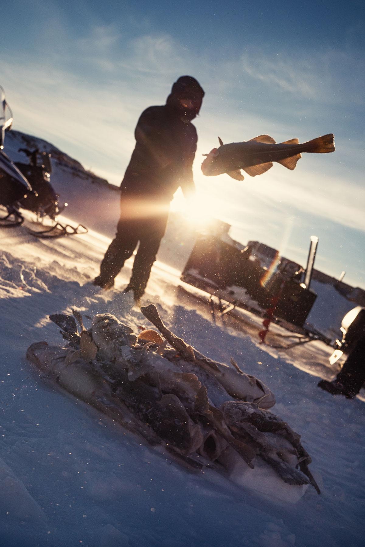 Vissen vissen Sisimiut