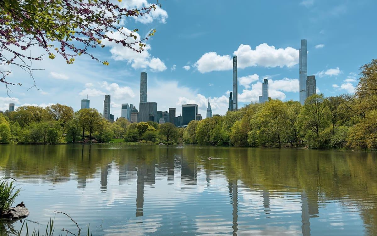 New York in April: Central Park is blooming and green