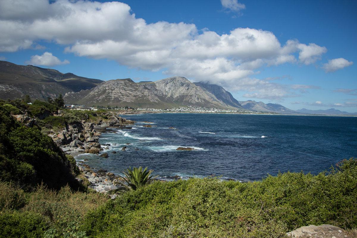 Cliff Path | Hermanus Afrique du Sud