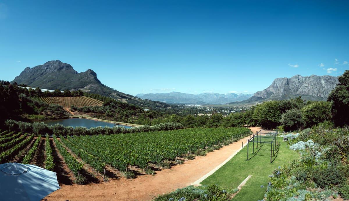Vue à la cave Bartinney, Franschhoek Winelands