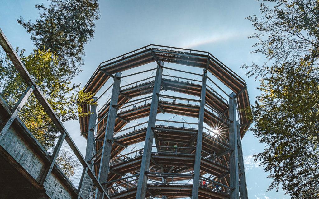 Canopée de Bad Wildbad à Sommerberg