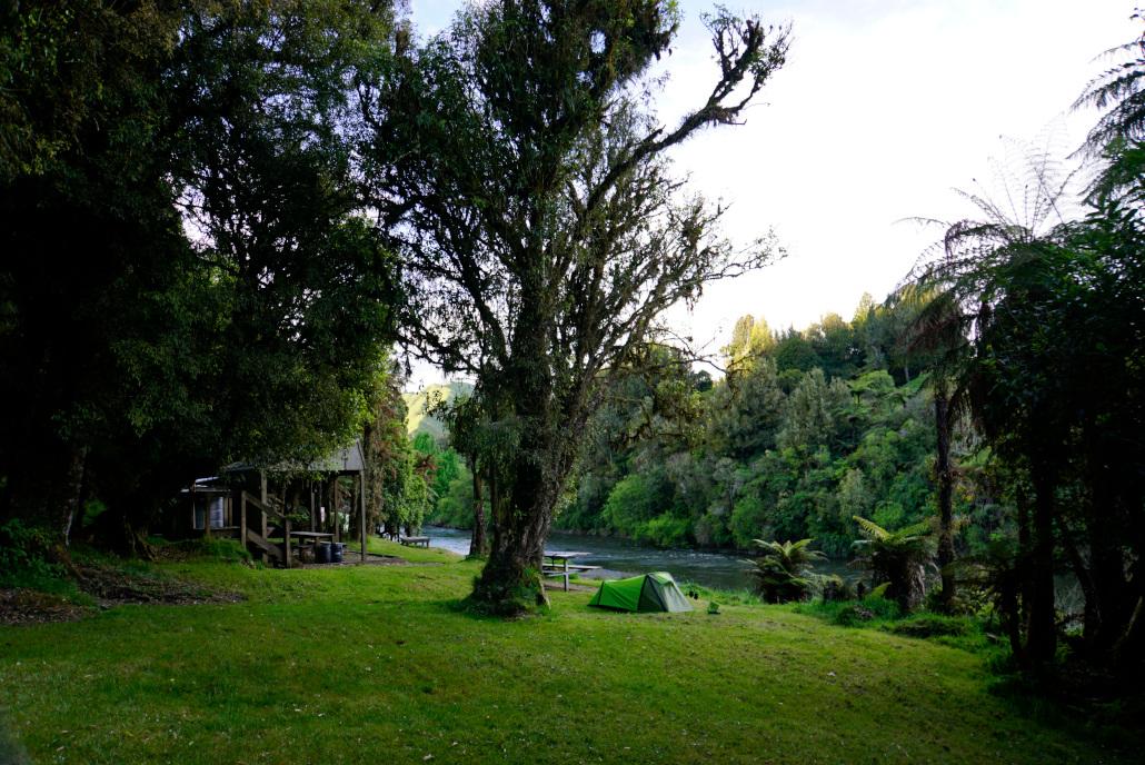 Campsite at Whanganui River