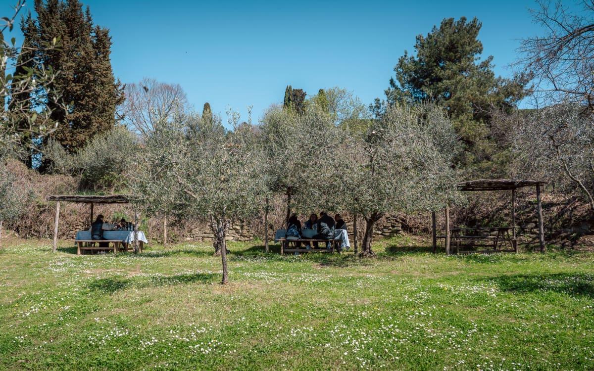 In het groen eten bij Fattoria La Vialla